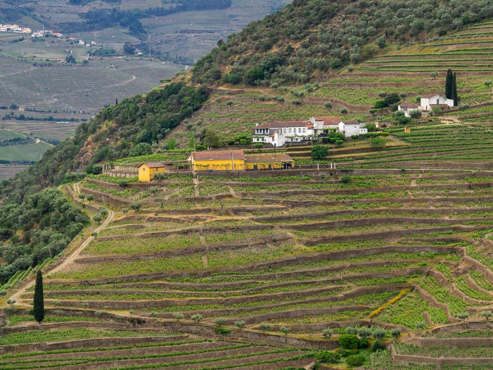 杜罗河区域参考 / Douro river region