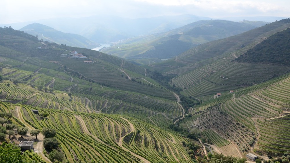杜罗河谷参考 / Douro Valley reference